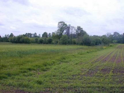 Bild 1 von Seerosenteich
